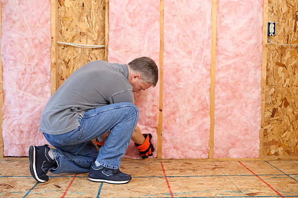 Best Insulation Maintenance and Repair in Buckhorn, CA